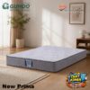 5abe3ebe3ba347c680ca7b6196faa7a5~tplv-aphluv4xwc-resize-jpeg_700_0 Guhdo Spring Bed New Prima Kasur Saja