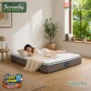 SUPREME Kasur Elite Serenity Springbed Supreme ( KASUR SAJA )