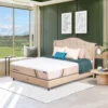 ss-1300-1737685603-5 Kasur Procella Springbed Pro Pedic