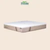p-1300-1737106110-4 Kasur Procella Springbed Pro Pedic