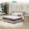 ss-1 (1) Kasur Procella Springbed Type Autumn Breeze
