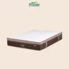 morning-dew-1 Kasur Procella Springbed Type Morning Dew