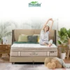 ss-2 Procella Kasur Spring Bed Elysian