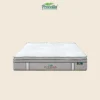 elysian-2 Procella Kasur Spring Bed Elysian