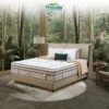 ss-1 Procella Kasur Spring bed Type Solitude