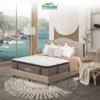 ss-1 (1) Procella Kasur Springbed Type Belize