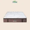 belize-2 Procella Kasur Springbed Type Belize