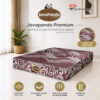 Kasur Springbed by Javaland Javapanda Premium Plushtop ( Kasur Saja )