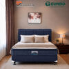 sadasda Guhdo Springbed Standard Plushtop Set HB Izuku